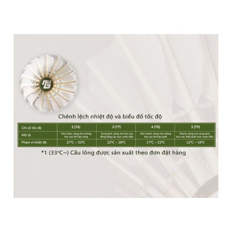 CẦU LÔNG LEGEND - L68 - Ảnh 3